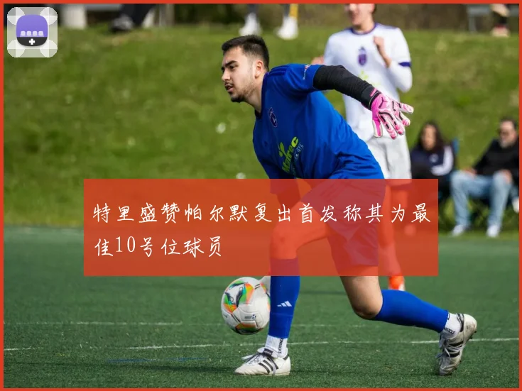 特里盛赞帕尔默复出首发称其为最佳10号位球员
