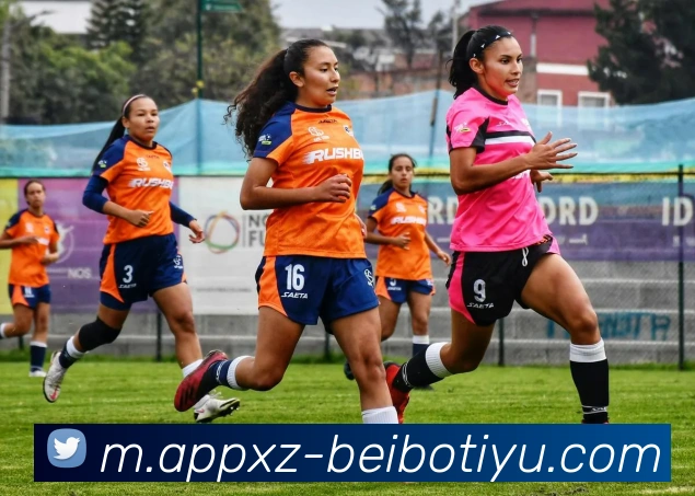 贝博体育平台生态图