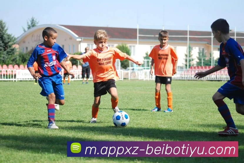 贝博体育全站App